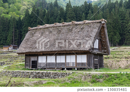 Typical traditional thick gassho zukuri style roof in Shirakawago in Japan during springtime. Typical traditional thick gassho zukuri style roof in Shirakawago in Japan during springtime. 130835481