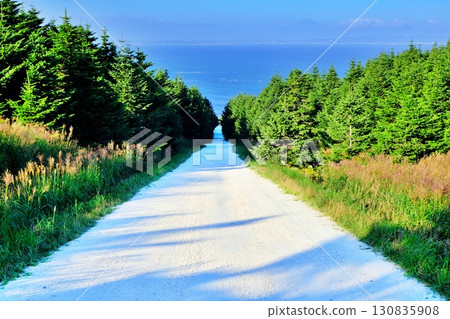 白色之路（北海道稚內市宗谷村宗谷） 130835908