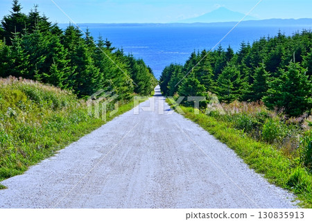 白色之路(北海道稚內市宗谷村宗谷) 白色之路(北海道稚內市宗谷村宗谷) 130835913