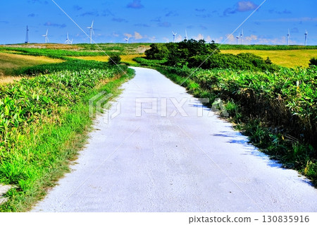 白色之路（北海道稚內市宗谷村宗谷） 130835916