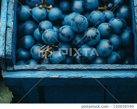 Ripe grape purple fresh on sale. organic agriculture farm. AI Generated. Ripe grape purple fresh on sale. organic agriculture farm. AI Generated. 130836540