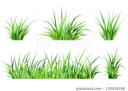 Green grass on field isolated on white background. Lawn plants border. Summer meadow and garden realistic illustration. Fresh long leaves. Bunch of foliage design. 130836586