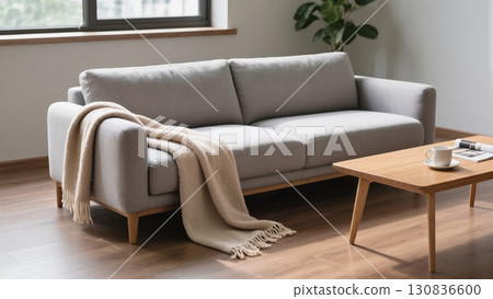 Modern Living Room Featuring Comfortable Sofa With Cozy Blanket and Stylish Coffee Table in Bright Natural Light 130836600