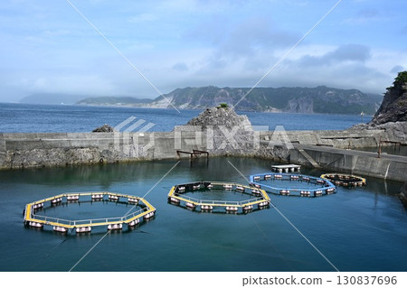 式根島水產養殖場 式根島水產養殖場 130837696