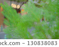 In a quiet city 130838083