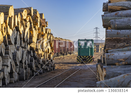 Train transporting logs in Csomoder, Hungary 130838314