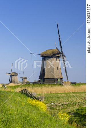 Traditional Dutch windmills standing tall in Schermerhorn, North Holland 130838357