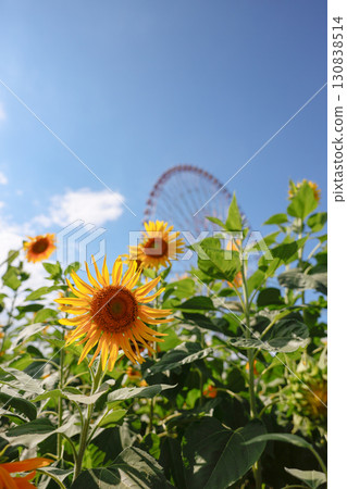 2025 Kasai Rinkai Park 130838514