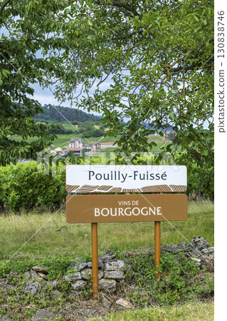 Pouilly Fuisse vineyards in Bourgogne wine region, France Pouilly Fuisse vineyards in Bourgogne wine region, France 130838746