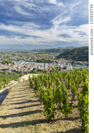 Vineyards overlooking Tain l'Hermitage in the Drome region of France under a blue sky 130838749