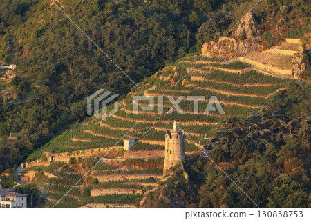 Scenic vineyards covering steep slopes in the French Alps, featuring a medieval tower at sunset Scenic vineyards covering steep slopes in the French Alps, featuring a medieval tower at sunset 130838753