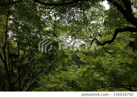 八多山尊永寺內寧靜的山區 八多山尊永寺內寧靜的山區 130838792