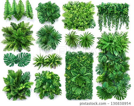 Lush tropical plants are creating vibrant green walls and vertical gardens, bringing a touch of nature to various settings and promoting a refreshing ambiance 130838954