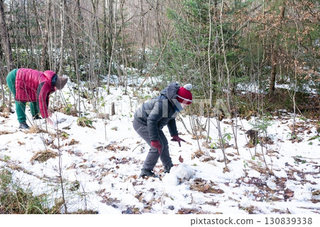 Two children gather snow in a snowy forest, preparing to build something. Two children gather snow in a snowy forest, preparing to build something. 130839338