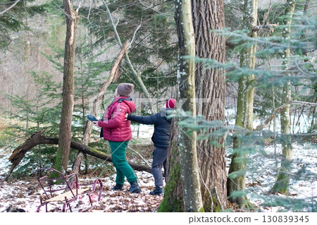 Two people explore a winter woods, one holding a tablet, near a fallen tree and a sled. Two people explore a winter woods, one holding a tablet, near a fallen tree and a sled. 130839345
