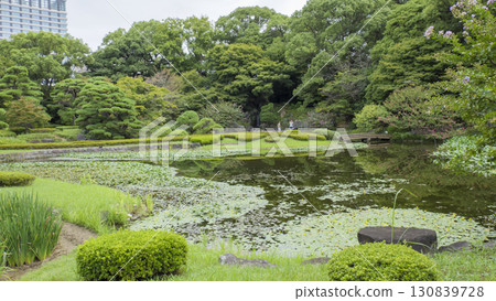 Cloudy Autumn at the Imperial Palace 130839728