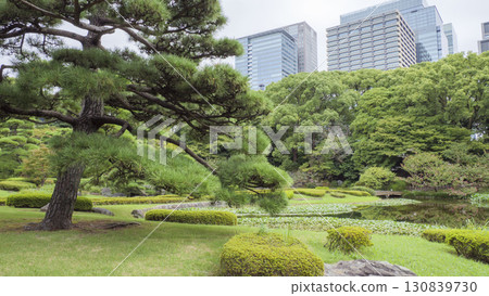 Cloudy Autumn at the Imperial Palace 130839730