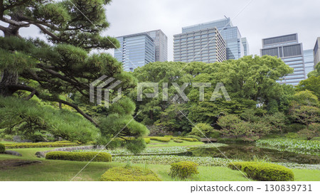 Cloudy Autumn at the Imperial Palace Cloudy Autumn at the Imperial Palace 130839731