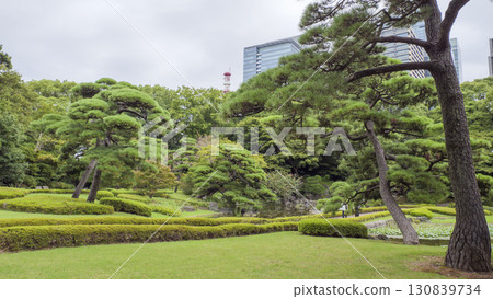 Cloudy Autumn at the Imperial Palace 130839734