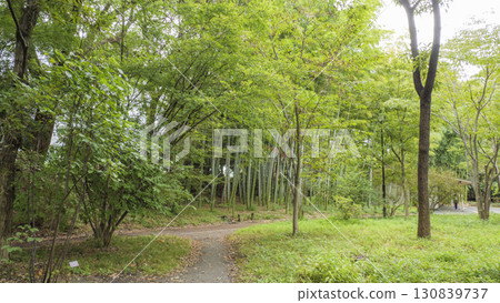 Cloudy Autumn at the Imperial Palace Cloudy Autumn at the Imperial Palace 130839737