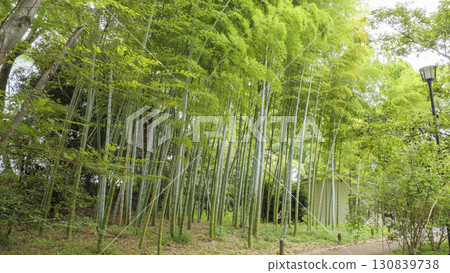 Cloudy Autumn at the Imperial Palace Cloudy Autumn at the Imperial Palace 130839738