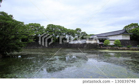 Cloudy Autumn at the Imperial Palace Cloudy Autumn at the Imperial Palace 130839746