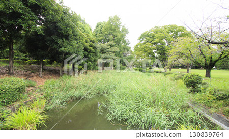 故宮秋雲 故宮秋雲 130839764