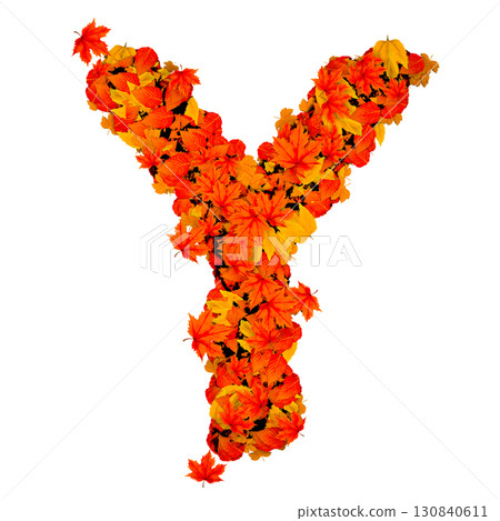 Letter Y formed by leaves 130840611