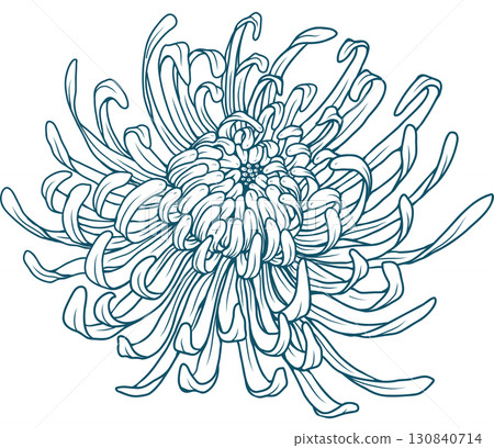 Chrysanthemum Flower Line Art Design 130840714