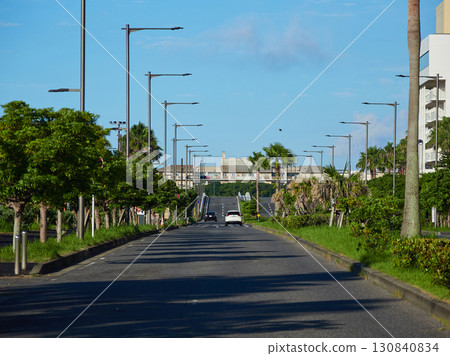 Road and residential area near Shin-Urayasu Park in summer 130840834
