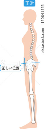 Woman with correct posture: spine and pelvis 130841363