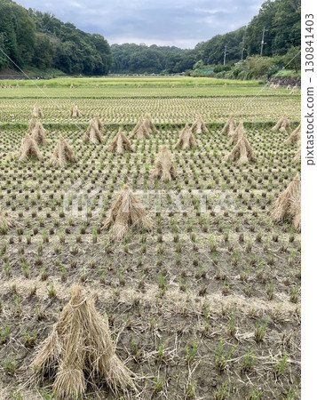 Autumn countryside 130841403