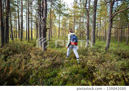 Woman backpacker walk on peat bog with mushroom basket and using stick as trekking aid in wetland Woman backpacker walk on peat bog with mushroom basket and using stick as trekking aid in wetland 130842080