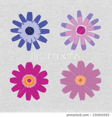 Colorful flowers, cineraria 130842083