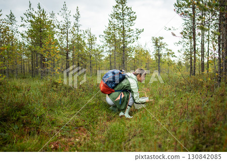 Woman traveler collect mushrooms on raised bog wooden trail in forest with backpack on city break 130842085