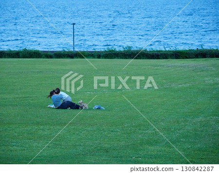 夏天，一位女士在新浦安公園的草坪上遛狗 130842287