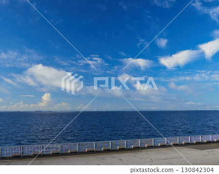 Summer scenery of Tokyo Bay seen from Shin-Urayasu Park 130842304