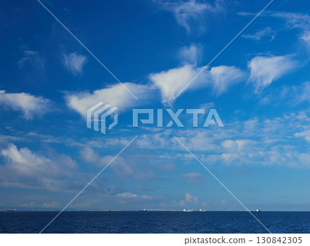 Summer scenery of Tokyo Bay seen from Shin-Urayasu Park 130842305