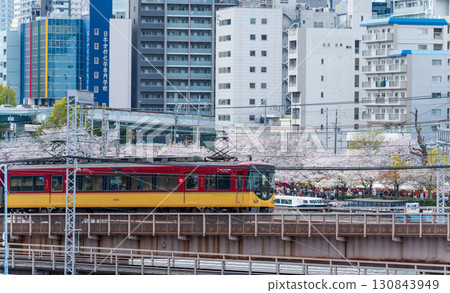 春天櫻花盛開時，京阪電車穿梭於大阪。日本大阪府大阪市 130843949