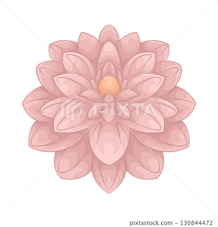 Illustration of pink flower Illustration of pink flower 130844472