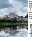 Kominato Railway and cherry blossoms reflected in the pond 130844525