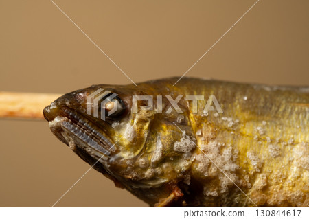 Grilled salted sweetfish head Grilled salted sweetfish head 130844617