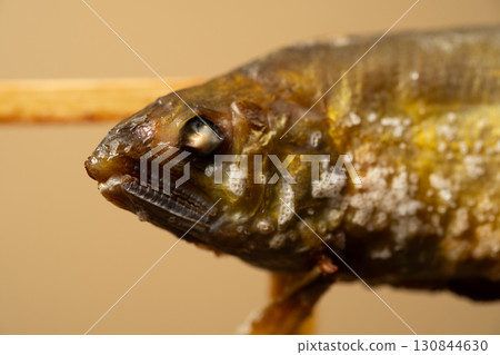 烤鹹魚頭 130844630