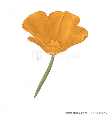 Illustration of flower Illustration of flower 130844647