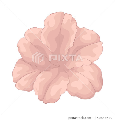 Illustration of pink flower 130844649