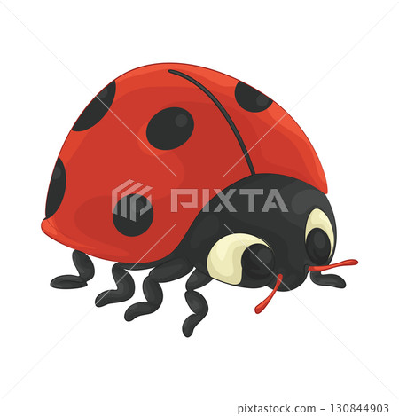 Illustration of ladybug 130844903