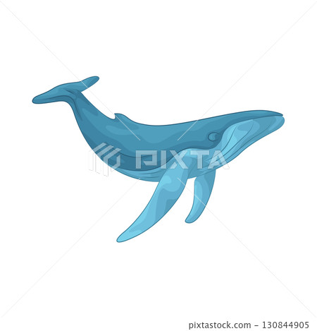 Illustration of whale Illustration of whale 130844905