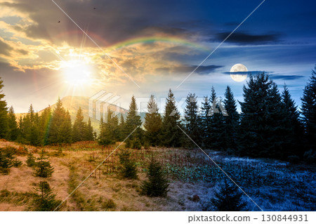 fir trees on a meadow. day and night time change concept. scenic landscape with coniferous forest in mountains under sky with sun and moon at twilight. beautiful alpine scenery 130844931