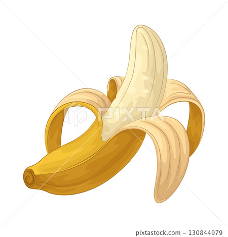 Illustration of banana Illustration of banana 130844979