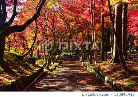Autumn, Kita-Omi, Keisokuji Temple Autumn, Kita-Omi, Keisokuji Temple 130845413